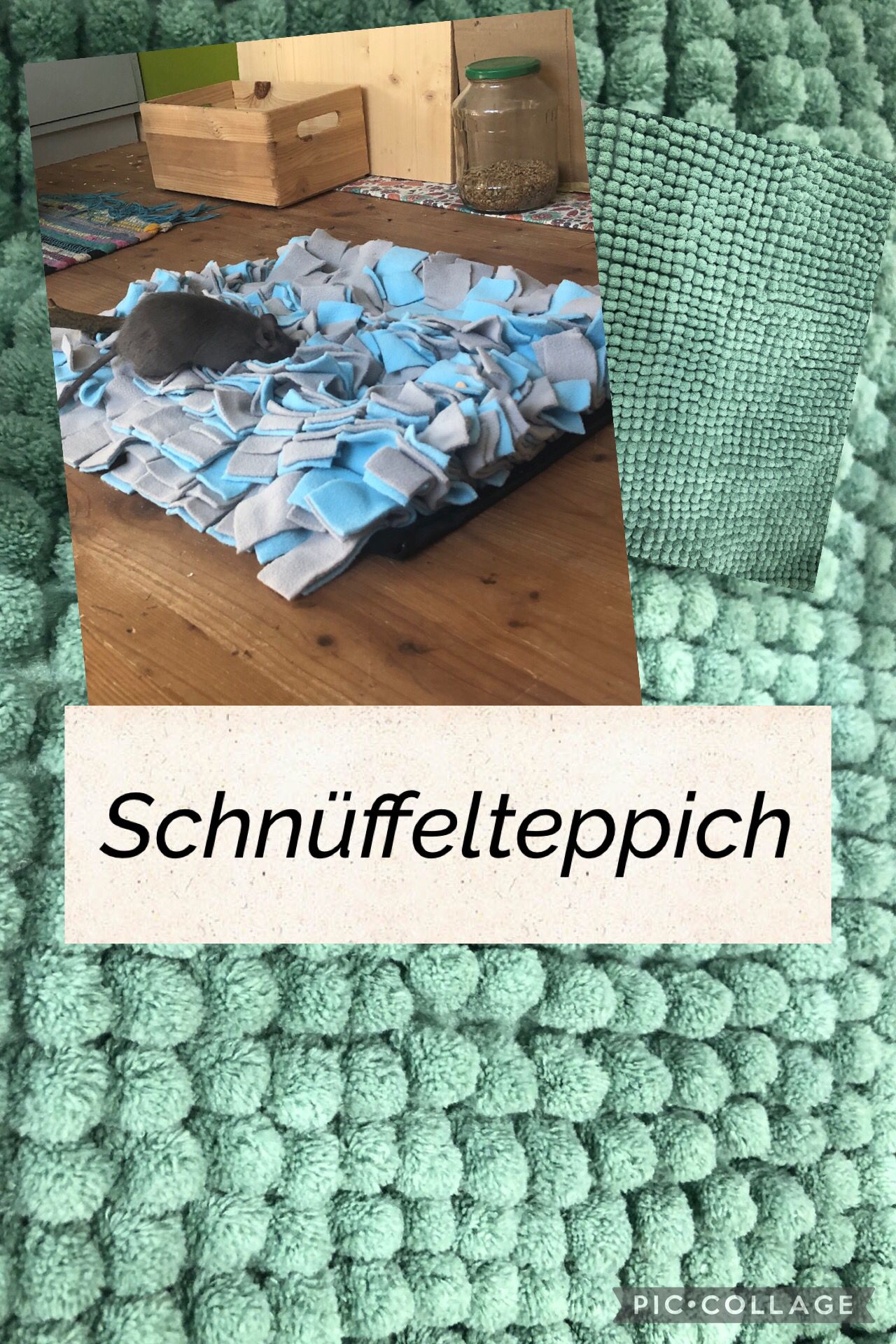 Schnüffelteppich❤️