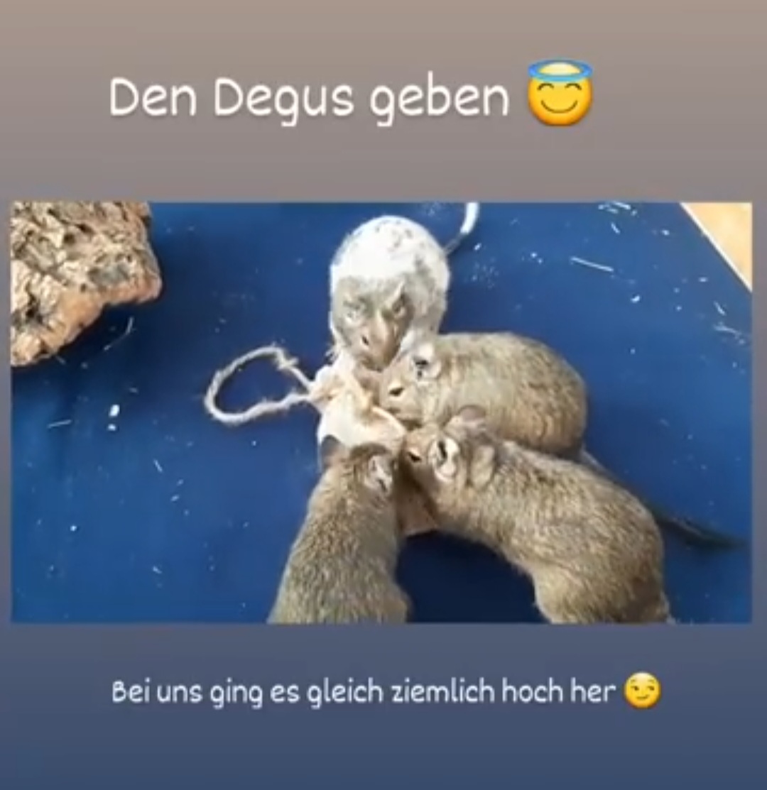 Screenshot_20250525_174355_Instagram.jpg