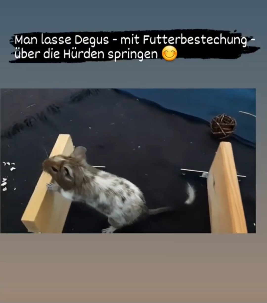 Screenshot_20250525_174335_Instagram.jpg