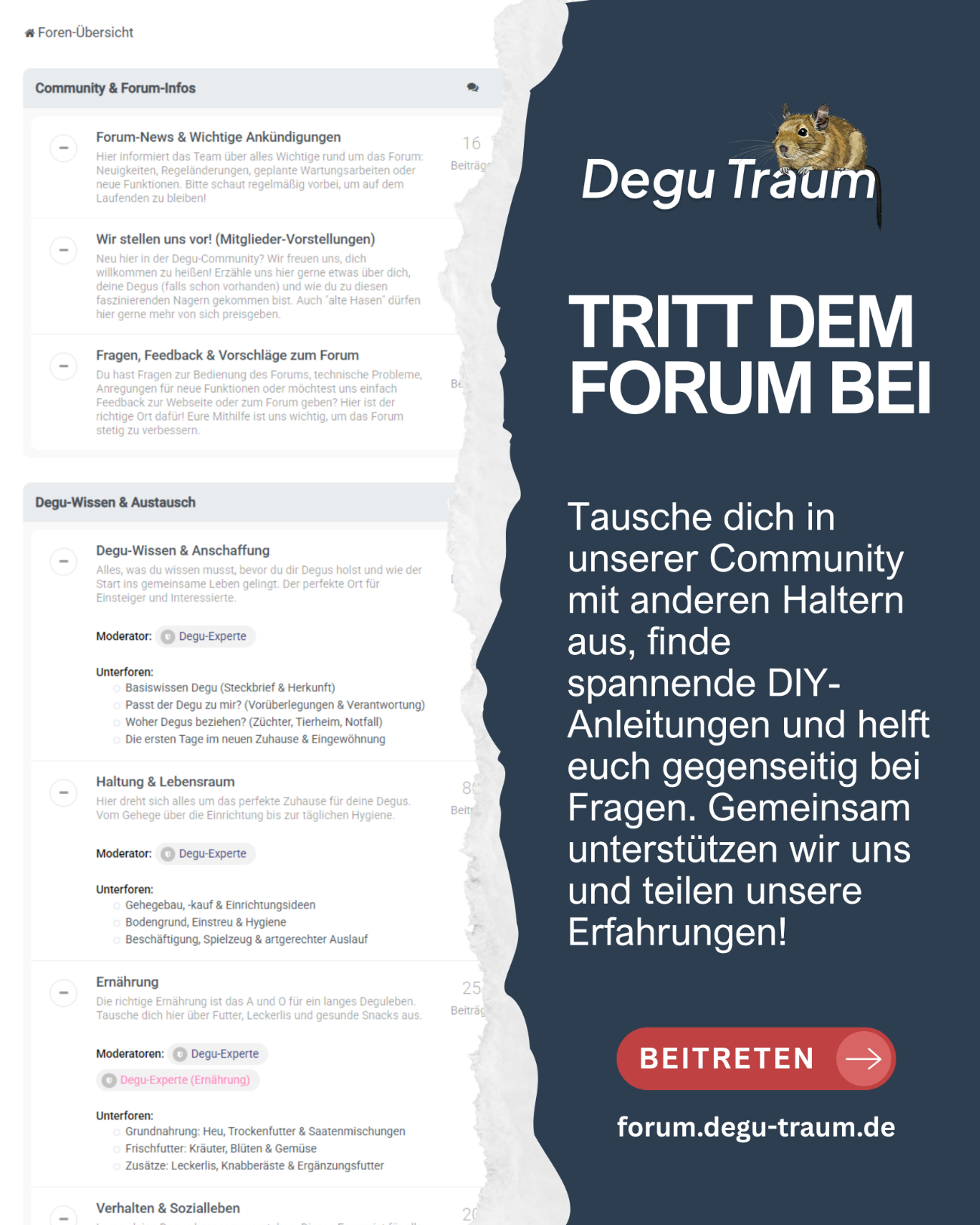 TRITT DEM FORUM BEI (1).jpg