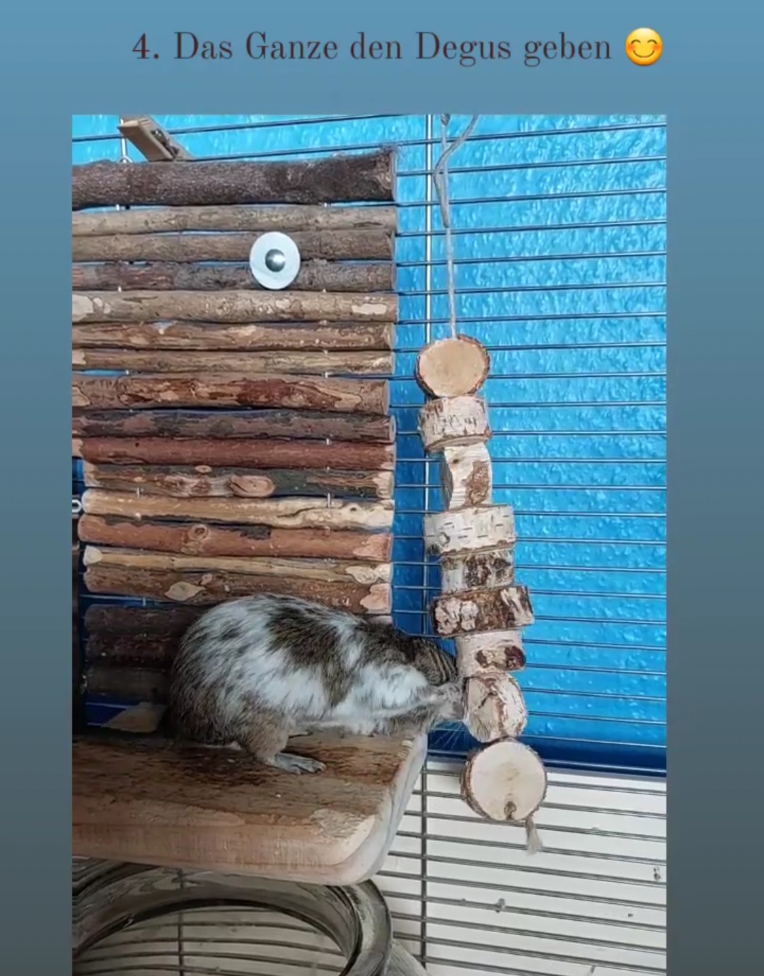 Screenshot_20250525_174625_Instagram.jpg