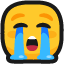:Loudly_crying_face: